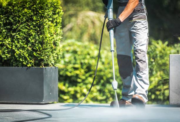 Best Sidewalk and Walkway Cleaning  in Williston, FL