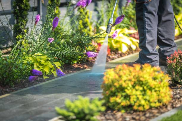 Professional Pressure Washing Services in Williston, FL