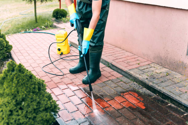Best Roof Washing  in Williston, FL